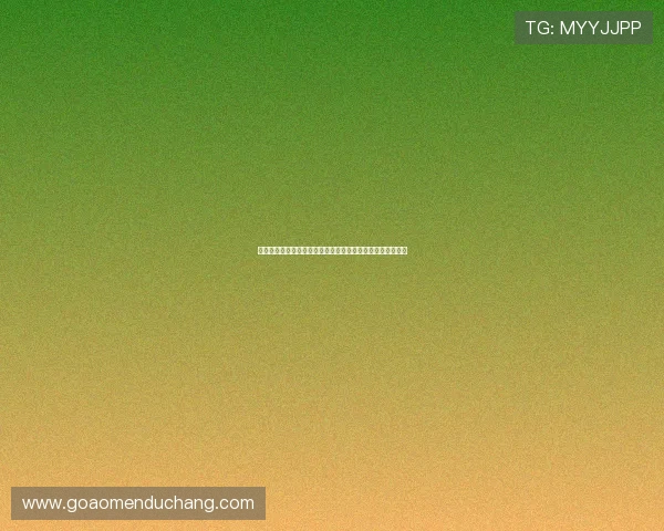 巴黎澳门人官网：为澳门人在巴黎提供的生活与工作支持指南